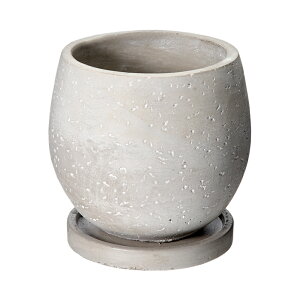 vCO[Y{E@M@O[@󂯎Mt@Aؔ@@֓