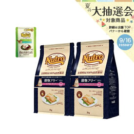 ニュートロ　猫　ナチュラルチョイス　穀物フリー　アダルト　ダック　2kg×2袋　＋　デイリー　ディッシュ　アダルト　パウチ　おまけ付　関東当日便