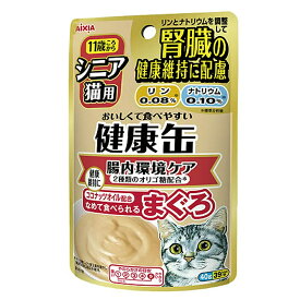 アイシア　シニア猫用　健康缶パウチ　腸内環境ケア　40g　48袋【HLS_DU】　関東当日便