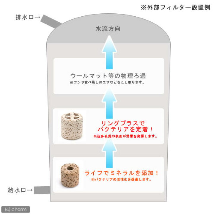 楽天市場 超濾過セット ライフ ５００ｍｌ リングプラス ５００ｍｌ 関東当日便 Charm 楽天市場店