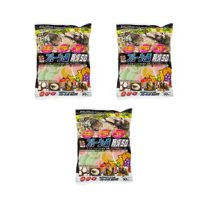 tWR@[[@ChJbv@t[c̐X@琬50@16g×50@3܁@֓