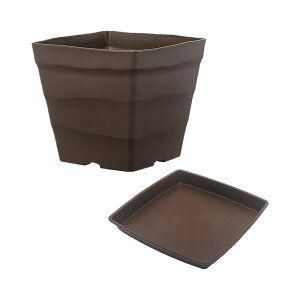 @AbvEFA[@NtgXNGA@30^@_[NuE@v[gt@ll6_@֓