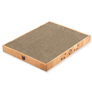 Lp@܂Ƃ@L@oopbh@ChvX@CguE@֓