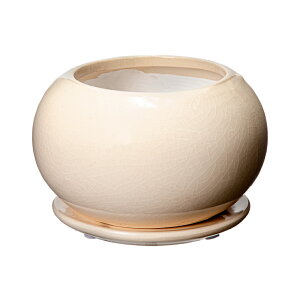 AXeA@{E@4@N[@󂯎Mt@ϗtA@Aؔ@@֓