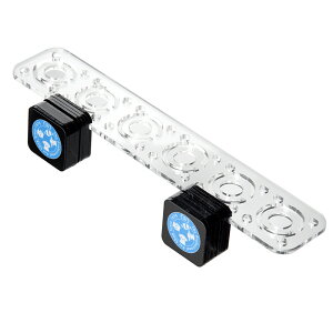 AEgbgi@R[tObN@}ObN@6@NA[@Mag@type@TS@tO@󂠂@֓