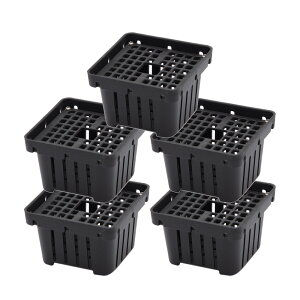 REoXPbg@ubN@STCY@nMO@RE@rJNV_@5@֓