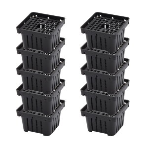 REoXPbg@ubN@STCY@nMO@RE@rJNV_@10@֓