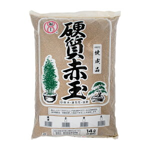 y@dԋʓy@ח@14L@ll2_