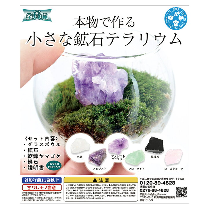 楽天市場】種類おまかせ 本物で作る 小さな鉱石テラリウム カプセル 
