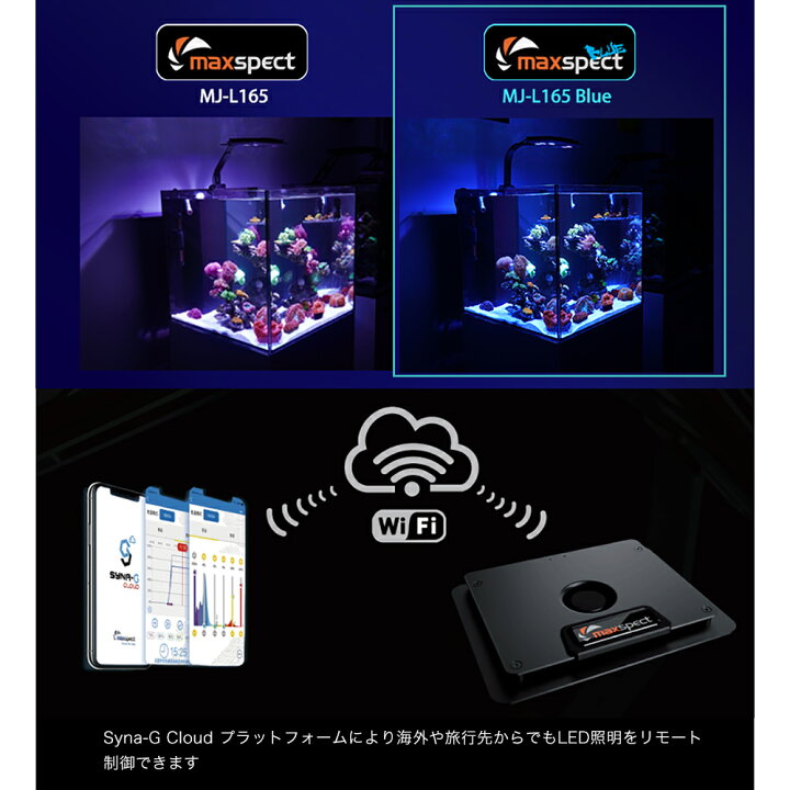 楽天市場】maxspect MJ−L165（ブルーエディション  
