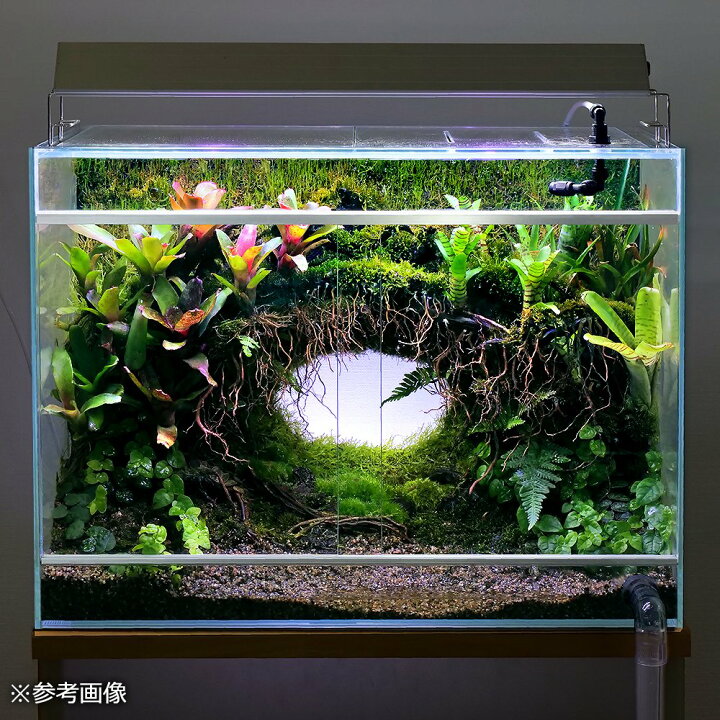 楽天市場】アウトレット品 アクロ スーパークリア パルダリウム水槽 