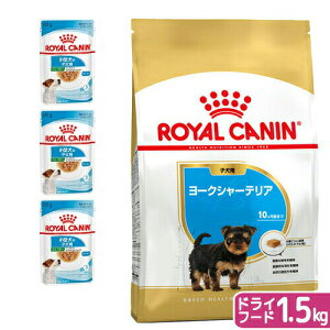 yzCJi@10J܂ł̎q@EFbg3܁{[NV[eA@q@1D5kg@Wbvt@ll1_@֓