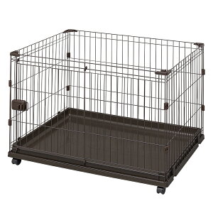 �A�C���X�I�[���}�@�R���r�l�[�V�����T�[�N���@�E�H�[���i�b�g�@P�|CS�|930V�@�֓�������