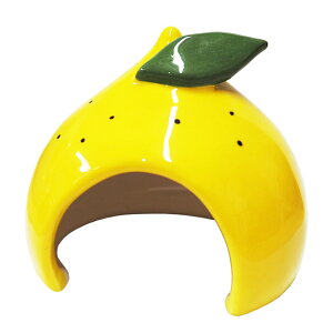 C{[@WKAJth[@@nX^[@nEX@@֓