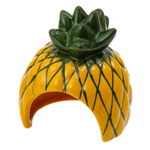 y11^1zIm21I1ő100@C{[@WKÃJth[@pCibv@nX^[@nEX@