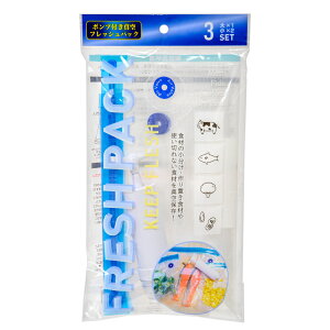アウトレット品 ポンプ付き真空フレッシュパック 3枚セット(大×1 小×2) 手押し式 訳あり 関東当日便