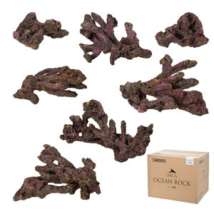 ORCA@OCEAN@ROCK@ECHO@CubNvJ@`90cm@֓