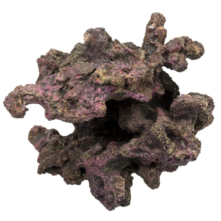 楽天市場】ORCA OCEAN ROCK ♯22 30×24×27cm  