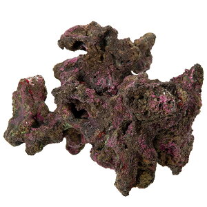 ORCA@OCEAN@ROCK@29@25×22×28cm@CubNvJ@֓