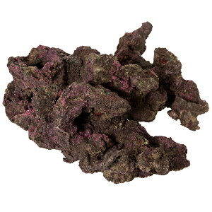 ORCA@OCEAN@ROCK@23@32×20×27cm@CubNvJ@֓