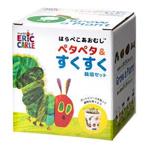 V|@͂؂ނ@y^y^͔|Zbg@^X@͔|Zbg@ƒ؉@Mtg@֓