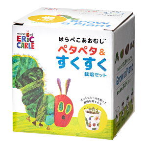 V|@͂؂ނ@y^y^͔|Zbg@~jq}@͔|Zbg@ƒ؉@Mtg@֓