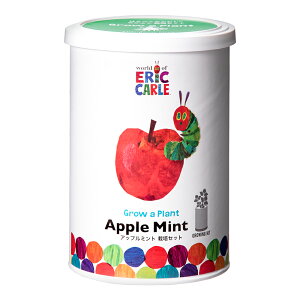 V|@͂؂ނ@Ȃ悵͔|Zbg@Abv~g@͔|Zbg@ƒ؉@Mtg@֓