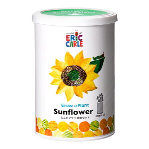 V|@͂؂ނ@Ȃ悵͔|Zbg@~jq}@͔|Zbg@ƒ؉@Mtg@֓