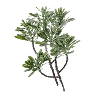 rNC[@rtFCNvc@{bNXEbh@֓