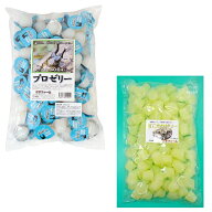 昆虫ゼリー　プロゼリー＋すこやかゼリー　16g　100個×2種セット　カブトムシ・クワガタ　高タンパク！…