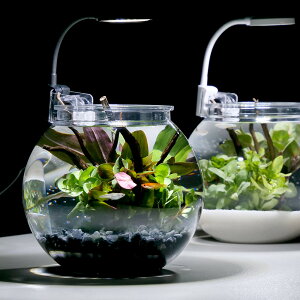 i߂jijy_JEZbg@S@ubN@t@{Bl