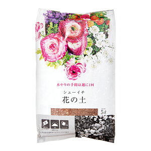 |{y@˃ԉ@V[C`@Ԃ̓y@5L@̎Ԃ͏T1@֓