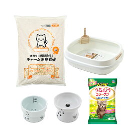 成猫用　スターターセット　簡易セット　ケージ無し　関東当日便