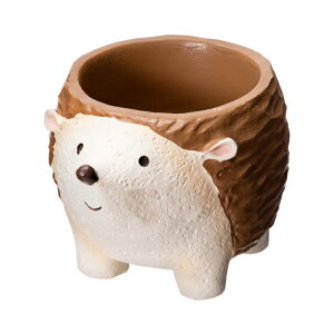 @gW|bg@lAj}@nlY~@1|bgp@Jo[@֓