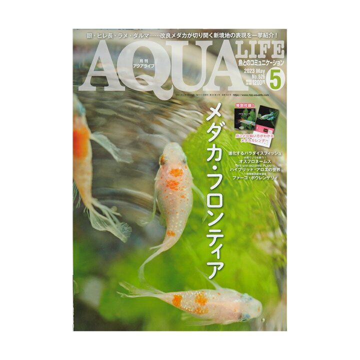 アクアライフ 5月号 (2023) 関東当日便 charm アクアライフ