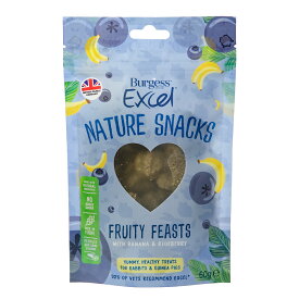 エクセル　ネイチャースナック　フルーティーフィースト　60g　うさぎ　モルモット　おやつ　関東当日便