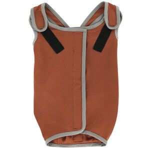 XP[^[@ybgp@p㕞@̎qp@5@uE@p@LRہ@@֓