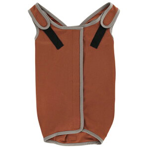 XP[^[@ybgp@p㕞@̎qp@6@uE@p@LRہ@@֓