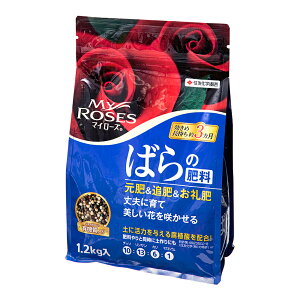 ZFw|@}C[Y@΂̔엿@1D2kg@ߒ3@֓