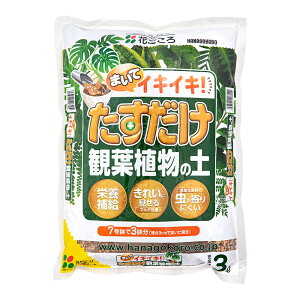 |{y@Ԃ@ϗtA̓y@3L@ɂ@֓