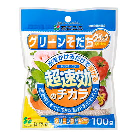 花ごころ　超速効のチカラ　グリーンそだちクイック　100g【HLS_DU】　関東当日便