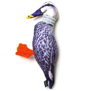 じゃれ猫 けりけり玩具 生き鳥 ワタリドリ 関東当日便