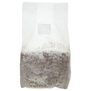 ێubN@삫̂@Basic@NkM@3500cc