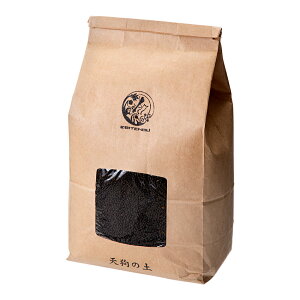 EBITENGU@GreO@V̓y@3L@Vvp@֓