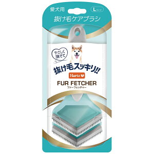 AEgbgi@n[c@t@[tFb`[@p@LTCY@󂠂@֓