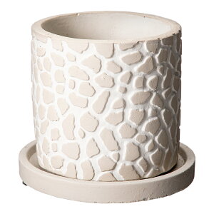 A@Ip[|bg@GY@O[@󂯎Mt@֓