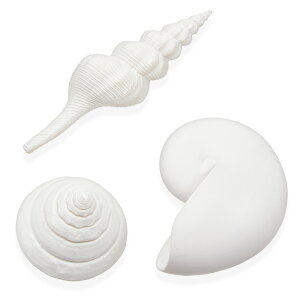 AEgbgi@Oase@oCI[u@LkZbg@zCg@󂠂@֓