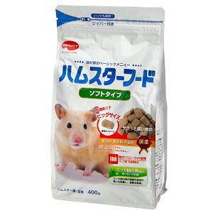 {ybgt[h@nX^[t[h@\tg^Cv@400g@a@֓