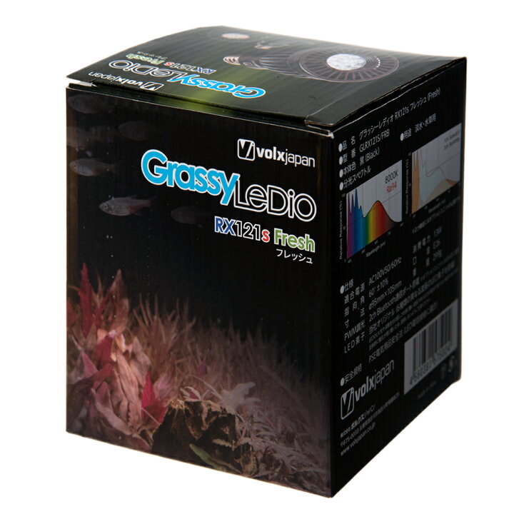ボルクスジャパン Grassy LeDio RX121s Fresh 