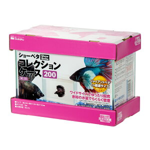 @KX@V[x^@RNVP[X@200@20×10×15cm@^@@֓